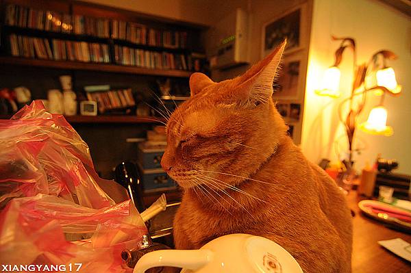 嗯  用聞得就飽了