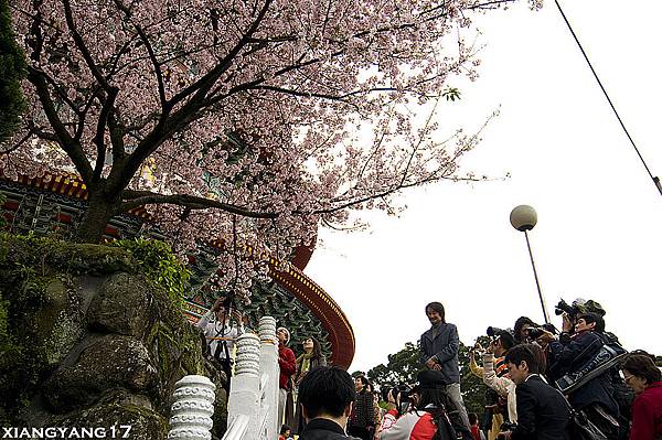 這張純粹是.....濕主席