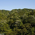 承天禪寺視野