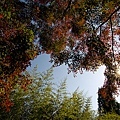 _DSC6743.jpg