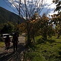 _DSC6876.jpg