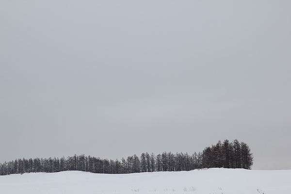 雪第一景