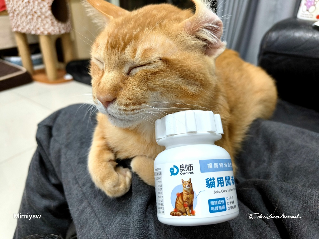 奧沛OurPet 貓用關沛錠6.jpg