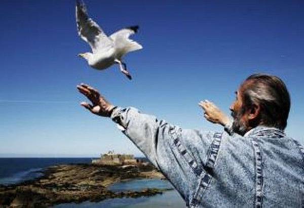 bird-whisperer--sea_19-131136.jpg bird-whisperer--sea_19-131136.jpg