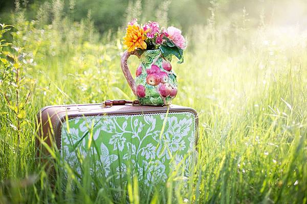 summer-still-life-785231_960_720.jpg summer-still-life-785231_960_720.jpg