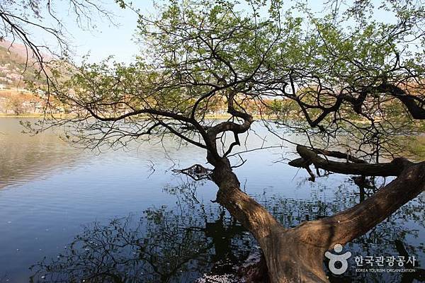 鎮海內水面環境生態公園 02.jpg