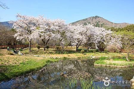 鎮海內水面環境生態公園 04.jpg