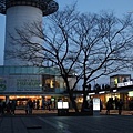 Seoul Tower Evening.jpg