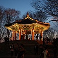 Seoul Tower Night.jpg