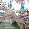 Lotte World 09