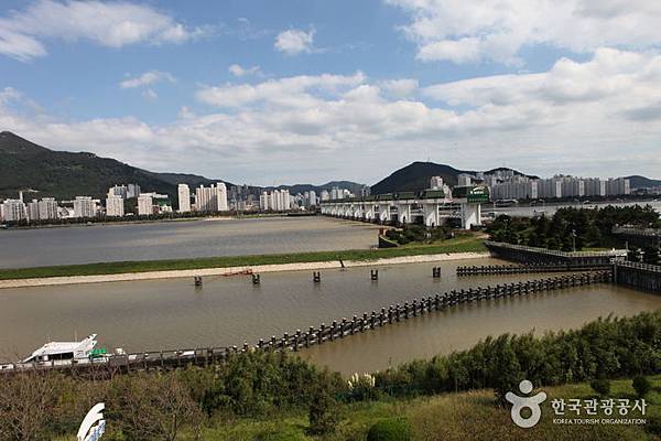 洛東江下游候鳥棲息地 04