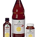 Kombucha