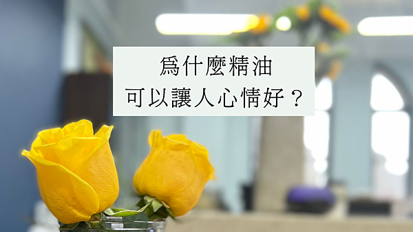 心情是由血清素決定 掌管睡眠的關鍵是由血清素轉變的褪黑激素.png