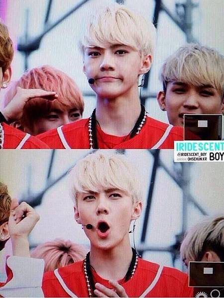 sehun66