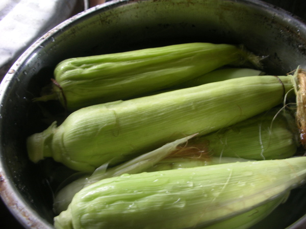 食 004.jpg 食 004.jpg