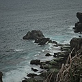 20110206-IMG_1478.jpg