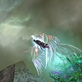 Aion0011.jpg