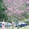 DSCF6488.JPG