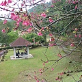 P1000402.JPG