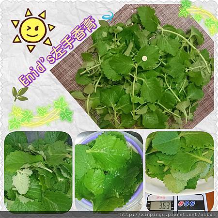 PhotoGrid_1527353557991.jpg PhotoGrid_1527353557991.jpg