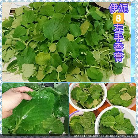 PhotoGrid_1540738330043.jpg PhotoGrid_1540738330043.jpg