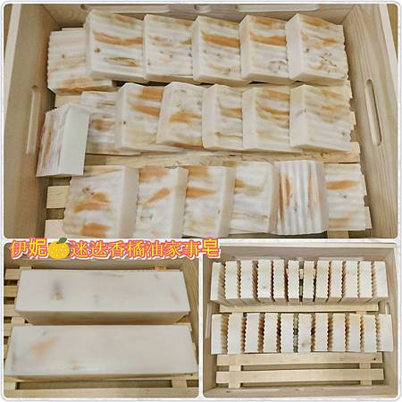 PhotoGrid_1551375200328.jpg PhotoGrid_1551375200328.jpg