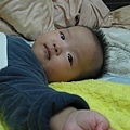 20111115-004.jpg