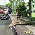 20120418-029.jpg