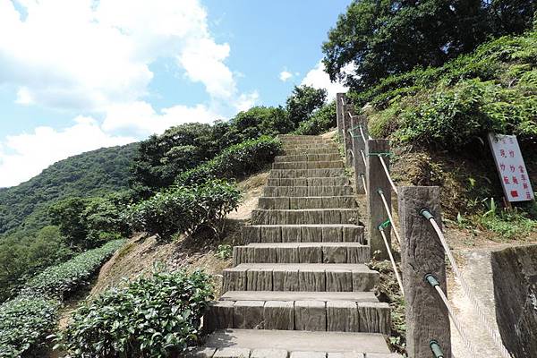 永安步道-0004