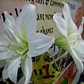 2007台北國際花卉展_0009