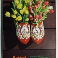 2007台北國際花卉展_0002