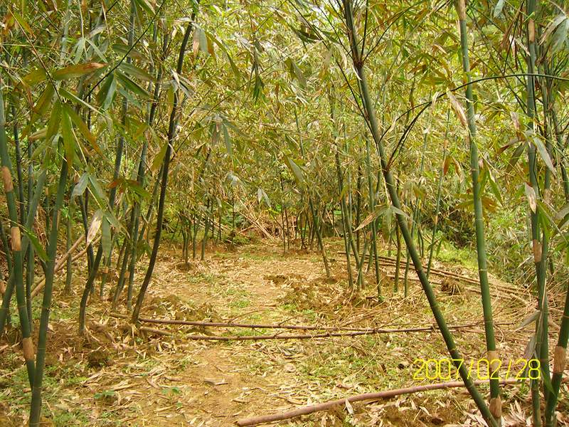 汐萬路 083-1 汐萬路 083-1