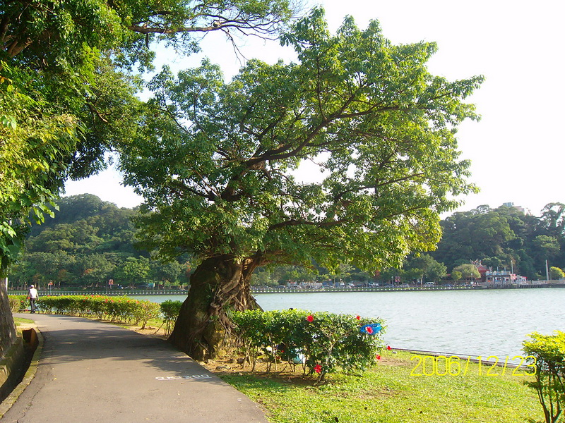 碧湖公園 062_調整大小