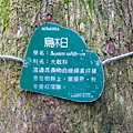 富陽生態公園 013