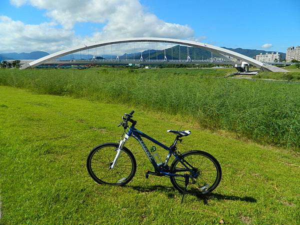 陽光橋-0002