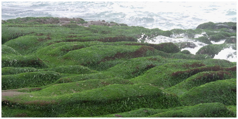 老梅綠海岸-0006