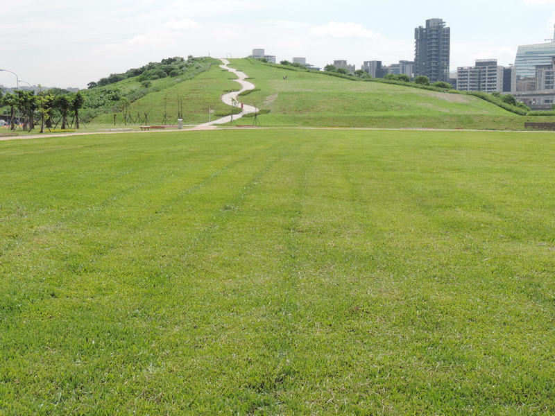 內湖復育園區_8 內湖復育園區_8