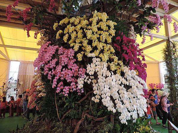 2018桃園農博_0038.JPG 2018桃園農博_0038.JPG