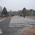 P1000226.JPG