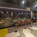 PXL_20241013_055255746.jpg