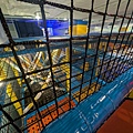 PXL_20241027_040445824.MP.jpg