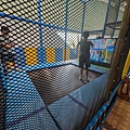PXL_20241027_040133130.jpg
