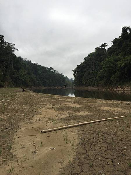 水位剧降，河床凸显。