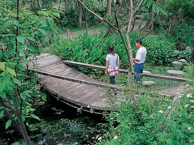 台中高美植物園.jpg