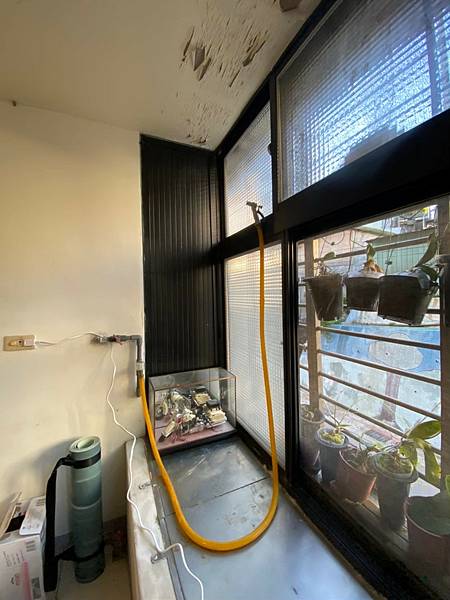 文山區萬盛街_221006_1.jpg 文山區萬盛街_221006_1.jpg