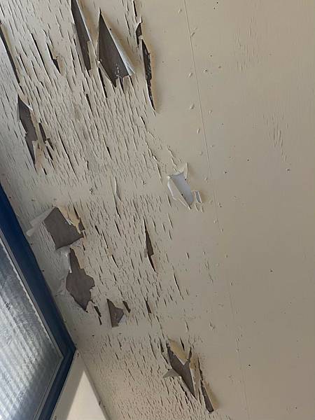 文山區萬盛街_221006_12.jpg 文山區萬盛街_221006_12.jpg