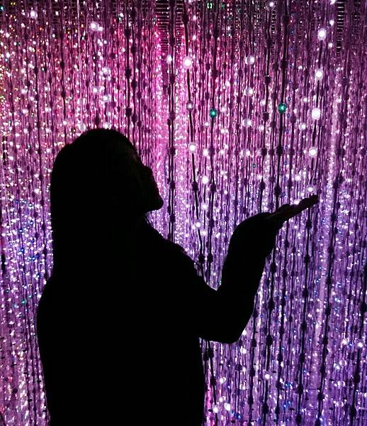 TeamLab: 舞動！藝術展 & 學習！未來の遊園地