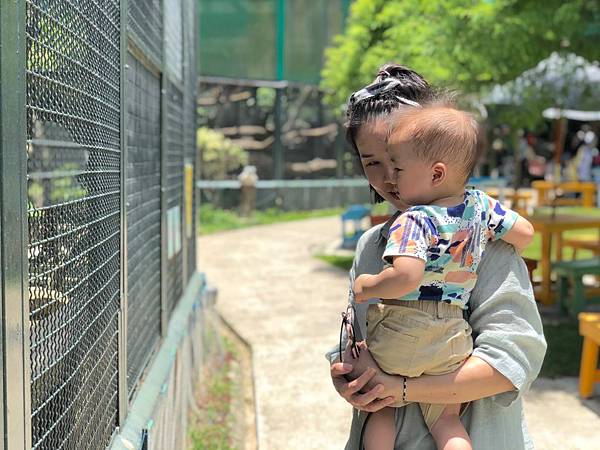 【桃園 新竹景點】2019森林鳥花園 最貼心的親子景點 新竹2天1夜/超長森林 最貼心的親子景點 新竹2天1夜/超長森林溜滑梯/戲水消暑/生態鳥園/樹屋/賽車場/新埔推薦景點/IG打卡溜滑梯/戲水消暑/生態鳥園/樹屋/賽車場/新埔推薦景點/IG打卡