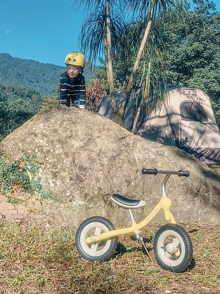 【滑步車分享】rollybike 滑步車同時也是腳踏車 小世界中的奔馳感 2~6歲適用/二合一滑步車/三步驟學 習 滑步、平衡、腳踏車/4 kg/歐美風格/終身保固/騎乘玩具/2019滑步車推薦