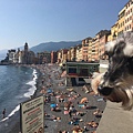 Camogli.JPG